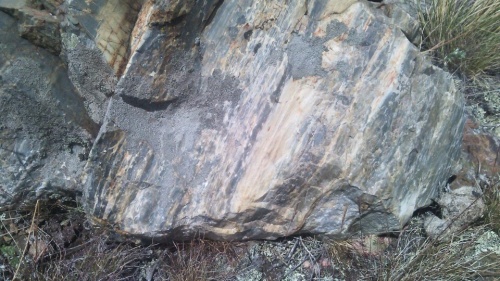 Гигантские зелёные валуны для ландшафтного дизайна весом более 5 тонн купить в Ленинградской области