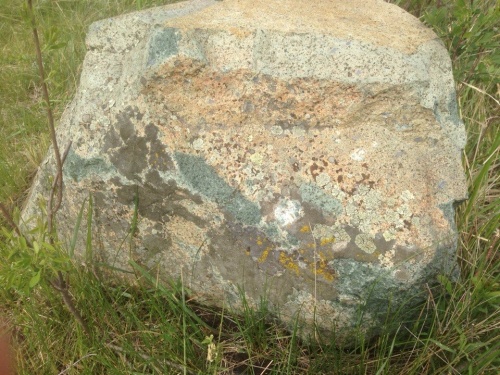 Гигантские зелёные валуны для ландшафтного дизайна весом более 5 тонн купить в Ленинградской области